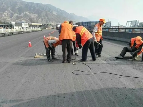 金阳道路桥梁病害治理